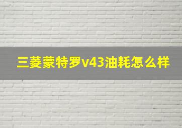 三菱蒙特罗v43油耗怎么样