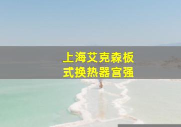 上海艾克森板式换热器宫强