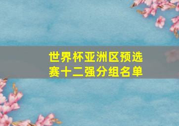 世界杯亚洲区预选赛十二强分组名单