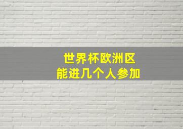 世界杯欧洲区能进几个人参加