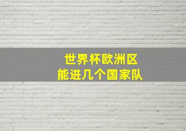 世界杯欧洲区能进几个国家队