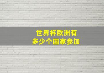 世界杯欧洲有多少个国家参加