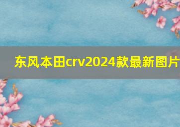 东风本田crv2024款最新图片