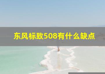 东风标致508有什么缺点