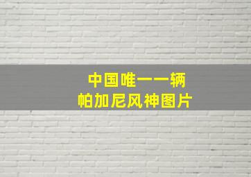 中国唯一一辆帕加尼风神图片