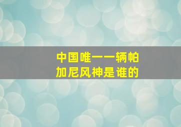 中国唯一一辆帕加尼风神是谁的