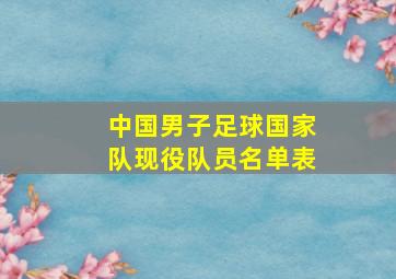 中国男子足球国家队现役队员名单表