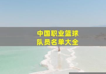 中国职业篮球队员名单大全