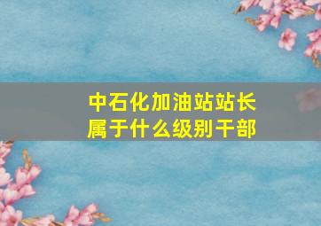 中石化加油站站长属于什么级别干部