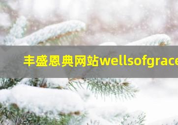 丰盛恩典网站wellsofgrace