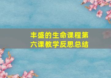 丰盛的生命课程第六课教学反思总结