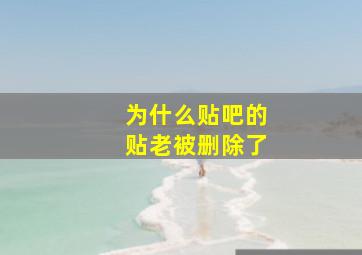 为什么贴吧的贴老被删除了