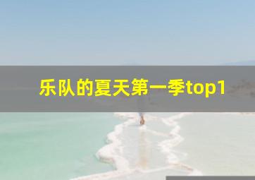 乐队的夏天第一季top1