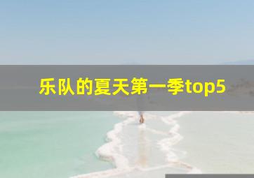 乐队的夏天第一季top5