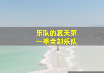 乐队的夏天第一季全部乐队