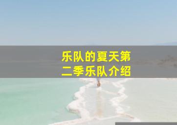 乐队的夏天第二季乐队介绍