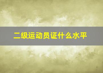 二级运动员证什么水平