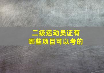 二级运动员证有哪些项目可以考的