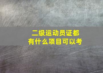 二级运动员证都有什么项目可以考