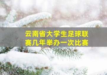 云南省大学生足球联赛几年举办一次比赛