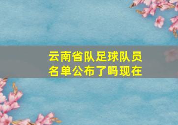 云南省队足球队员名单公布了吗现在