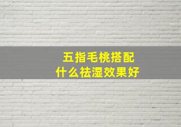 五指毛桃搭配什么祛湿效果好