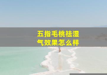 五指毛桃祛湿气效果怎么样