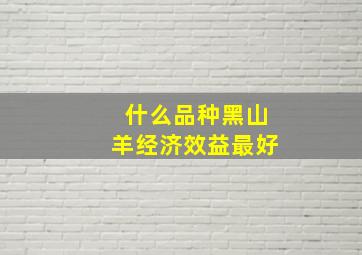 什么品种黑山羊经济效益最好