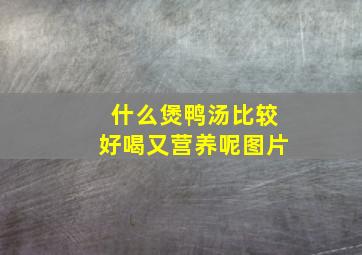 什么煲鸭汤比较好喝又营养呢图片