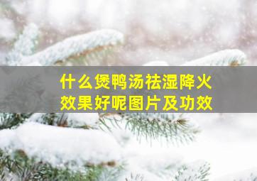 什么煲鸭汤祛湿降火效果好呢图片及功效