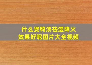 什么煲鸭汤祛湿降火效果好呢图片大全视频