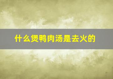 什么煲鸭肉汤是去火的