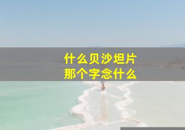 什么贝沙坦片那个字念什么