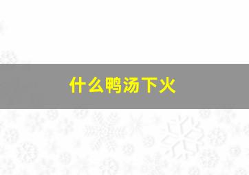 什么鸭汤下火