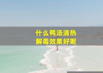 什么鸭汤清热解毒效果好呢