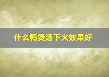 什么鸭煲汤下火效果好