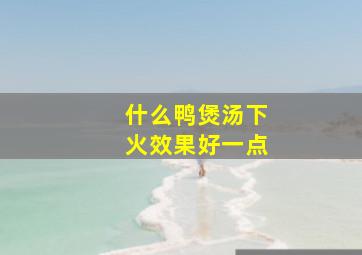 什么鸭煲汤下火效果好一点