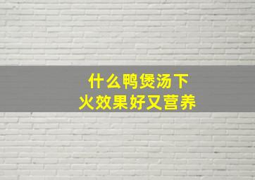 什么鸭煲汤下火效果好又营养