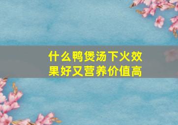 什么鸭煲汤下火效果好又营养价值高