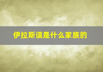 伊拉斯谟是什么家族的