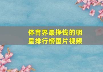 体育界最挣钱的明星排行榜图片视频