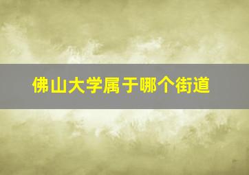 佛山大学属于哪个街道