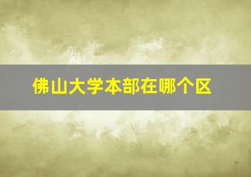 佛山大学本部在哪个区