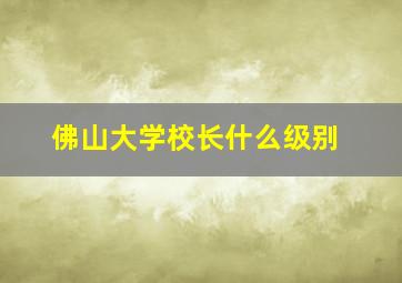 佛山大学校长什么级别