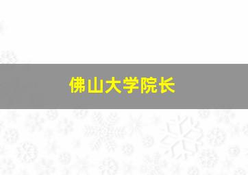 佛山大学院长