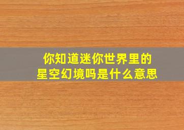 你知道迷你世界里的星空幻境吗是什么意思