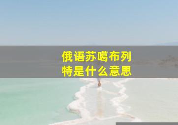 俄语苏噶布列特是什么意思