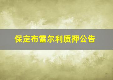 保定布雷尔利质押公告