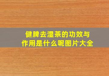 健脾去湿茶的功效与作用是什么呢图片大全