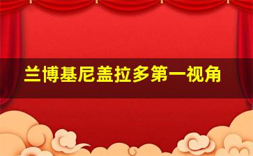 兰博基尼盖拉多第一视角